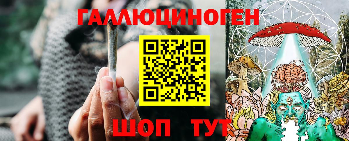 Новодвинск  Галлюциногенные грибы мицелий  где найти   Вход с VPN 