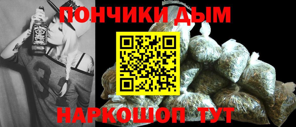Бошки Шишки план Новодвинск